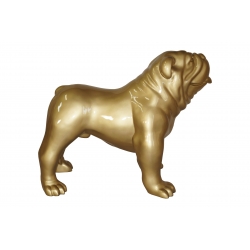Bulldog angielski - złoty wysoki połysk C441R  H73x92cm